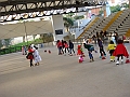 ESC06662 (3)